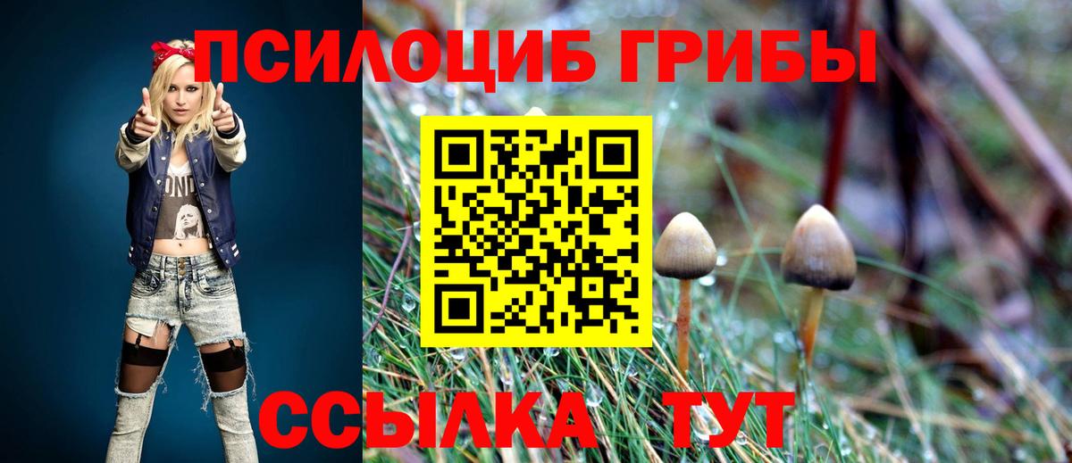 Псилоцибиновые грибы GOLDEN TEACHER Новотроицк