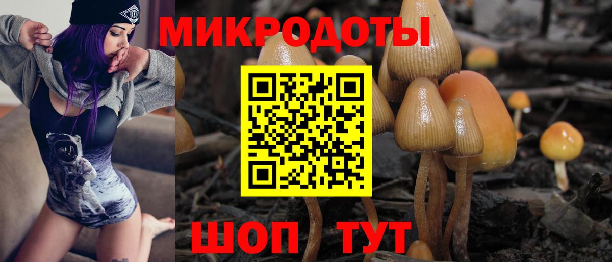Галлюциногенные грибы Psilocybe  Вход с VPN  Новотроицк 